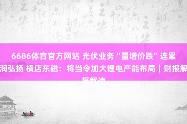 6686体育官方网站 光伏业务“量增价跌”连累利润弘扬 横店东磁：将当令加大锂电产能布局｜财报解读
