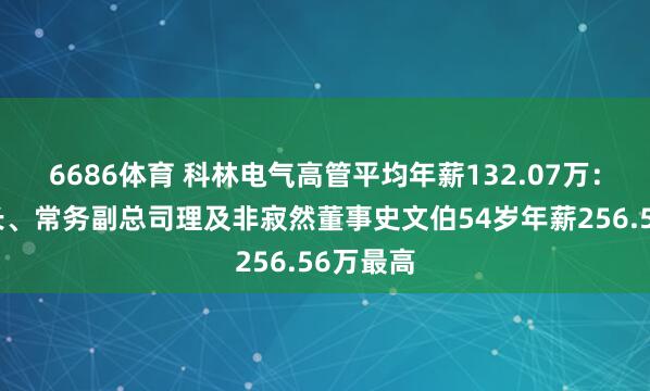 6686体育 科林电气高管平均年薪132.07万：副董事长、常务副总司理及非寂然董事史文伯54岁年薪256.56万最高