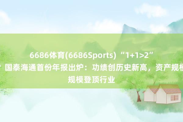 6686体育(6686Sports) “1+1>2”见效若何？国泰海通首份年报出炉：功绩创历史新高，资产规模登顶行业