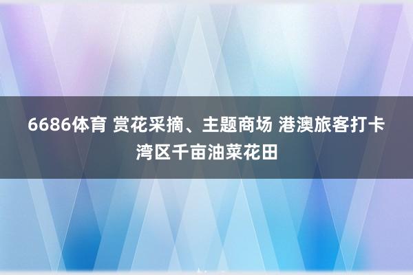 6686体育 赏花采摘、主题商场 港澳旅客打卡湾区千亩油菜花田
