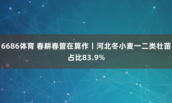 6686体育 春耕春管在算作丨河北冬小麦一二类壮苗占比83.9%