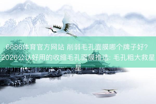 6686体育官方网站 削弱毛孔面膜哪个牌子好? 2026公认好用的收缩毛孔面膜推选: 毛孔粗大救星