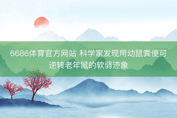 6686体育官方网站 科学家发现用幼鼠粪便可逆转老年鼠的软弱迹象