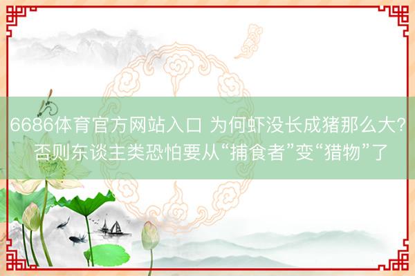 6686体育官方网站入口 为何虾没长成猪那么大? 否则东谈主类恐怕要从“捕食者”变“猎物”了