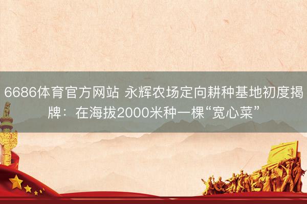 6686体育官方网站 永辉农场定向耕种基地初度揭牌：在海拔2000米种一棵“宽心菜”
