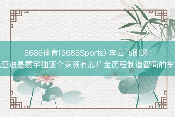 6686体育(6686Sports) 李云飞剧透：比亚迪是寰宇独逐个家领有芯片全历程制造智商的车企