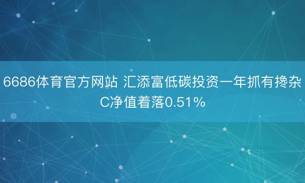 6686体育官方网站 汇添富低碳投资一年抓有搀杂C净值着落0.51%