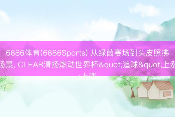 6686体育(6686Sports) 从绿茵赛场到头皮照拂场景, CLEAR清扬燃动世界杯"追球"上涨