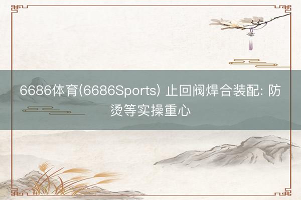 6686体育(6686Sports) 止回阀焊合装配: 防烫等实操重心