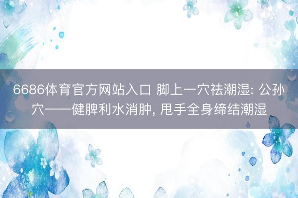 6686体育官方网站入口 脚上一穴祛潮湿: 公孙穴——健脾利水消肿， 甩手全身缔结潮湿
